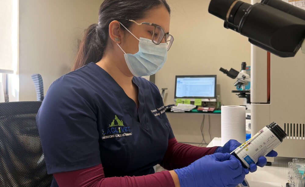 Diagnóstico clínico veterinario con resultados rápidos y precisos – LACLIVET