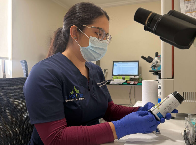 Diagnóstico clínico veterinario con resultados rápidos y precisos – LACLIVET