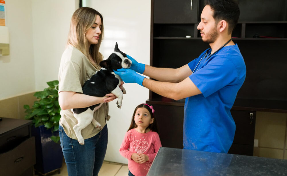toma de muestras veterinarias a domicilio