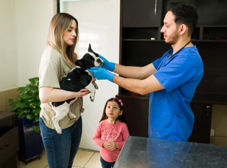 toma de muestras veterinarias a domicilio